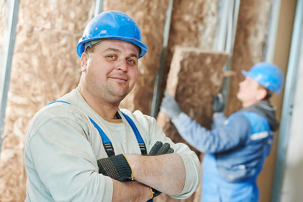 Best Insulation Installation Services in Velda City, MO