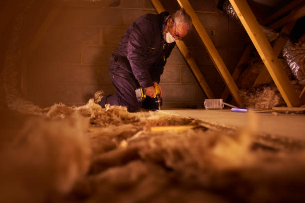 Best Insulation Maintenance and Repair in Velda City, MO